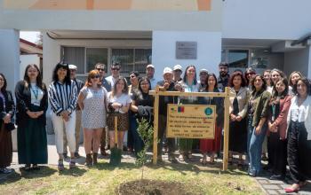 Grupo de autoridades plantó un árbol nativo en el patio de la mujer en la Usach