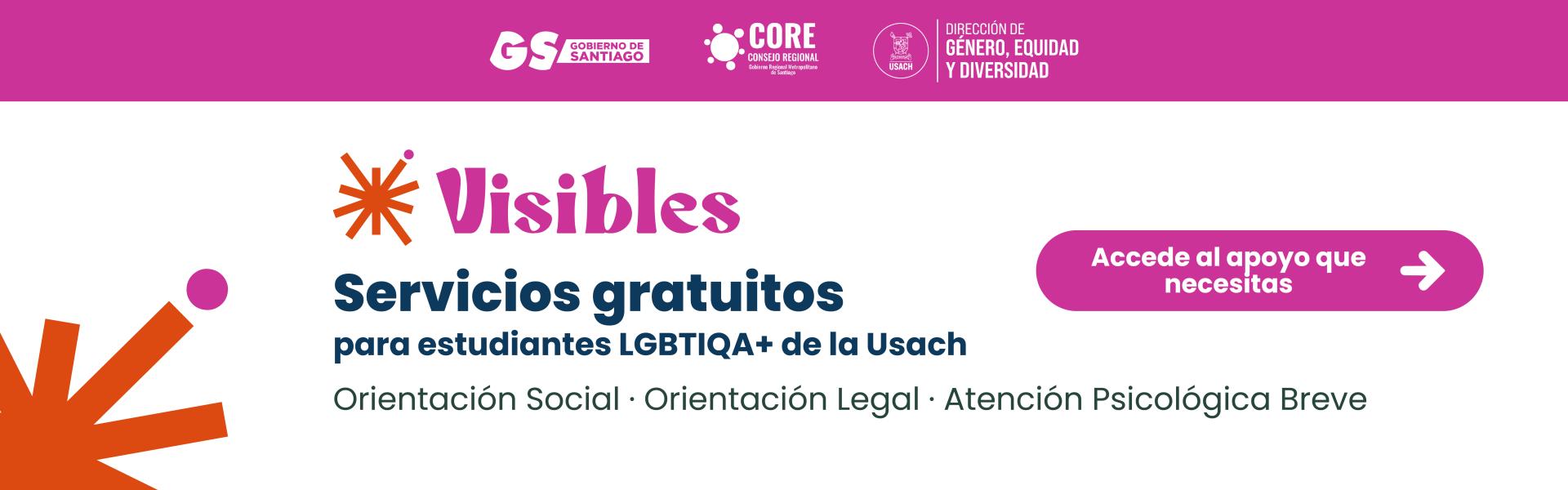 Fondo blanco con texto rosado que dice Visibles